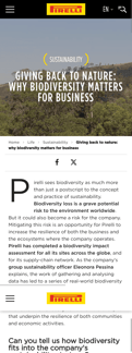 Pirelli landing page mobile screenshot
