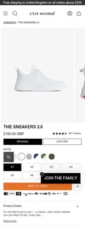 C'est Normal landing page mobile screenshot