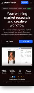 BrandSearch landing page mobile screenshot
