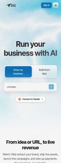 Vibiz landing page mobile screenshot
