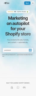 Vibiz landing page mobile screenshot