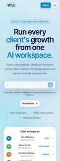 Vibiz landing page mobile screenshot