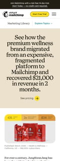 Mailchimp landing page mobile screenshot