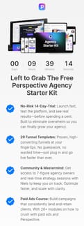 Perspective landing page mobile screenshot