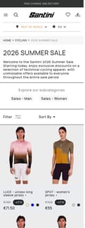 Santini landing page mobile screenshot