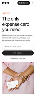 Pleo landing page mobile screenshot