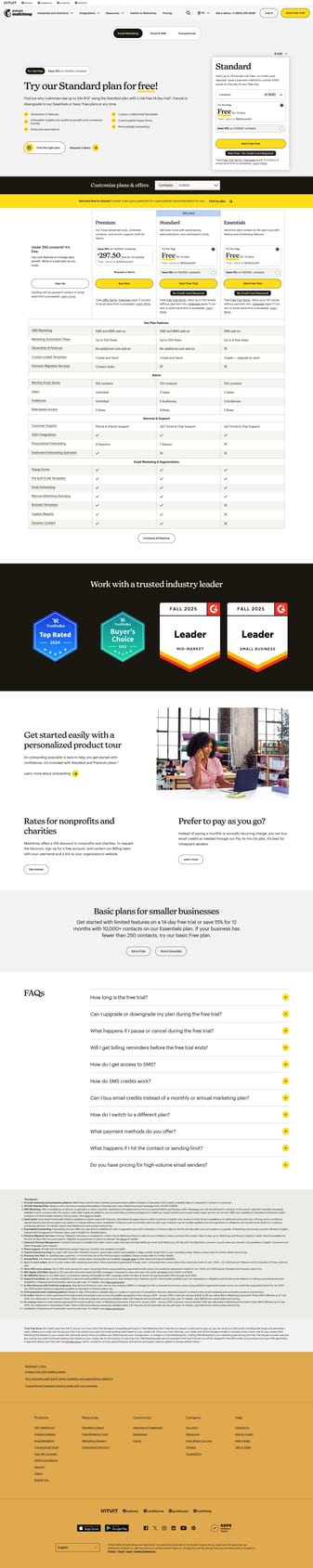 Mailchimp landing page desktop screenshot