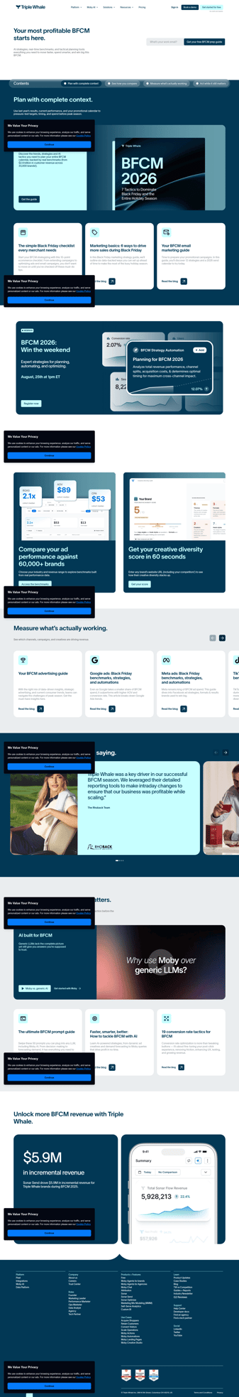 Triple Whale landing page desktop screenshot