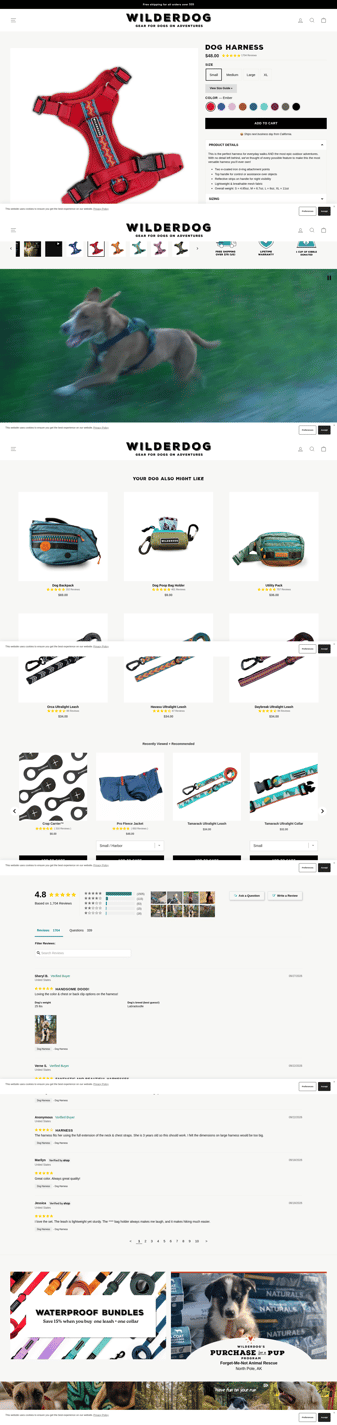 Wilderdog landing page desktop screenshot