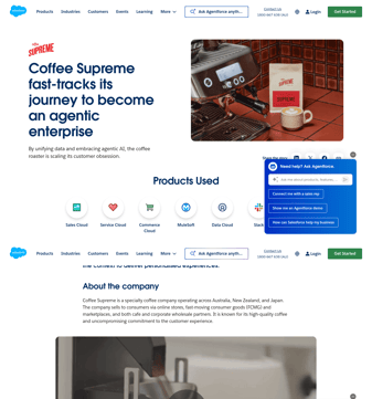 Cloud Protection for Salesforce landing page desktop screenshot