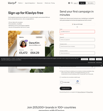 Klaviyo landing page desktop screenshot