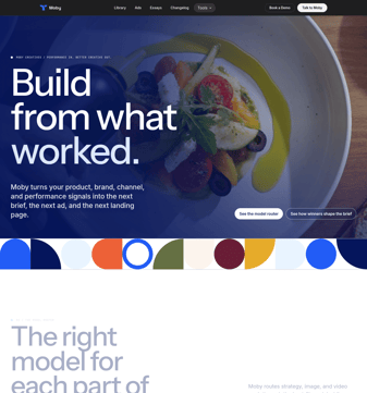 Triple-whale landing page desktop screenshot