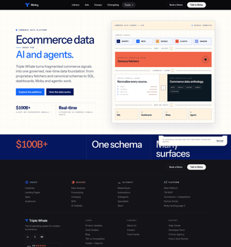 Triple-whale landing page desktop screenshot