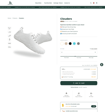 Bearefoot landing page desktop screenshot