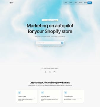Vibiz landing page desktop screenshot