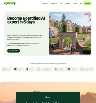 Optimizely landing page desktop screenshot