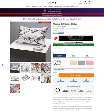 Blissy landing page desktop screenshot