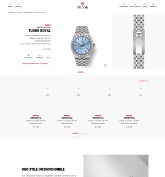 Tudor Watch landing page desktop screenshot