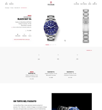 Tudor Watch landing page desktop screenshot