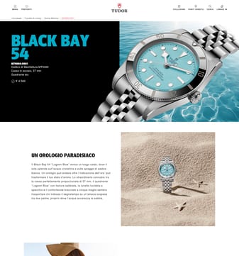 Tudor Watch landing page desktop screenshot