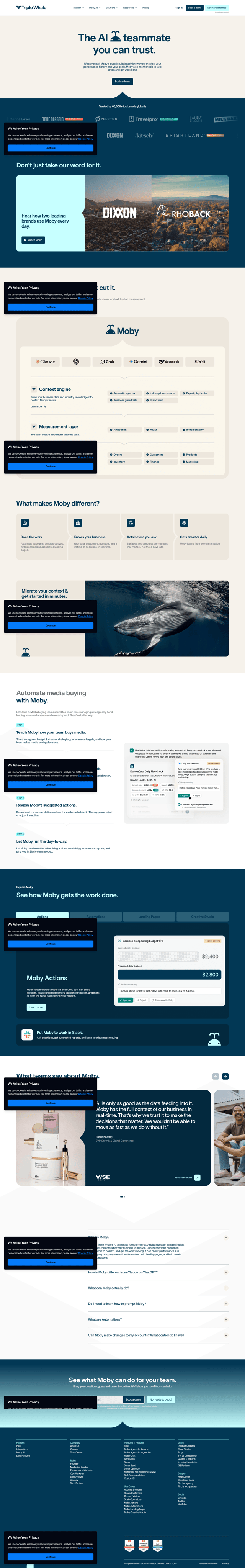Triple Whale landing page