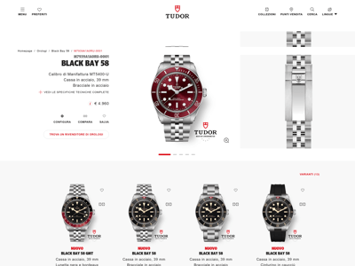 Tudor Watch