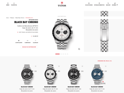 Tudor Watch