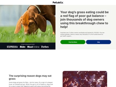 Petlab Co