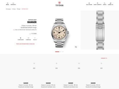 Tudor Watch