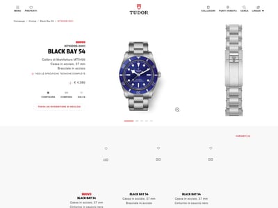 Tudor Watch