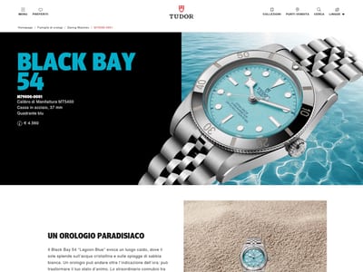 Tudor Watch
