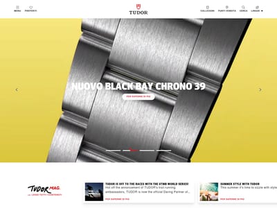 Tudor Watch