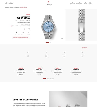 Tudor Watch