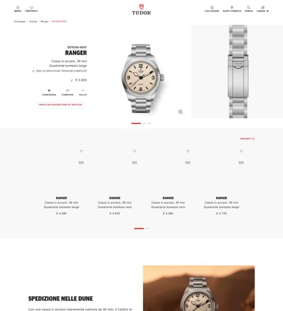 Tudor Watch