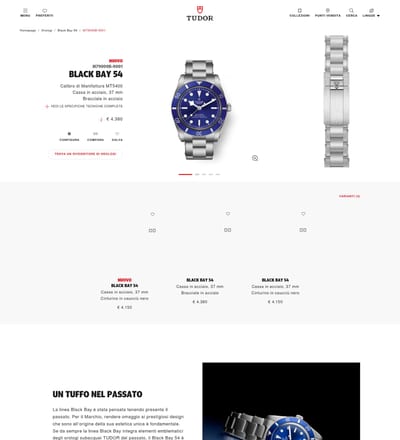 Tudor Watch